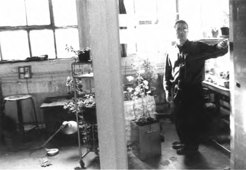 Photo d'Hervé Zénouda
